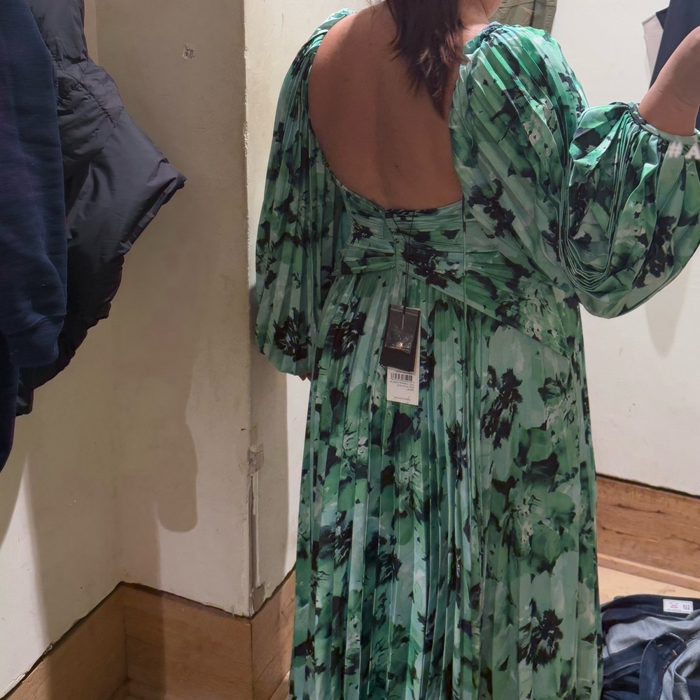 Acler Larimer Dress Green Floral Printed Gown Anthropologie Size 12 Large - Picture 3 of 8